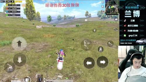 兰博爆料直播回放视频大全,回放视频大全精彩瞬间大盘点